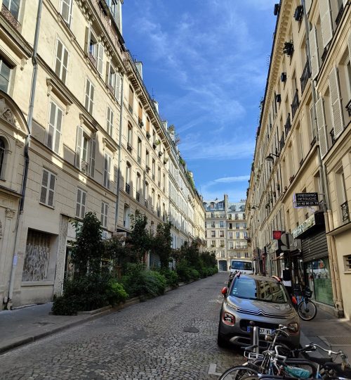 Eine Straße irgendwo in Paris, wo Parkplätze zu Grünflächen geworden sind.