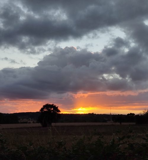 Ein Sonnenuntergang im Département Charente.