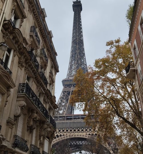 Der Eiffelturm - gesehen aus der Rue de l'Université. Ein sehr beliebter Fotospot.