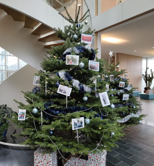 Ein Weihnachtsbaum bei uns im C2N - geschmückt mit Bildern der unterschiedlichen Arbeitsgruppen.