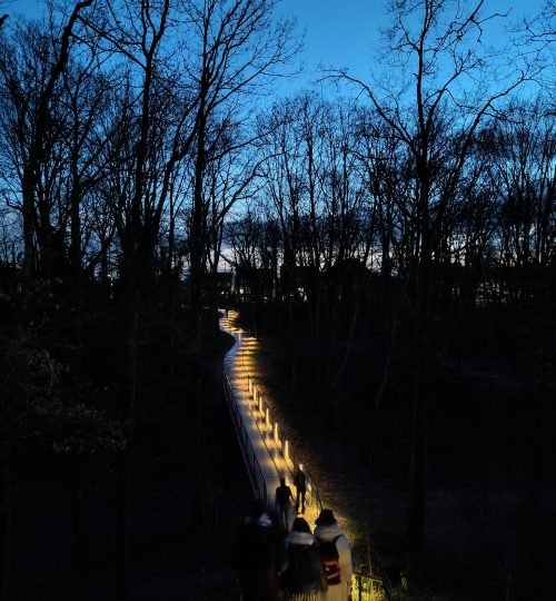 Hier ein Bild vom Weg durch den Wald, den man nehmen muss, um vom Institut zum RER zu gelangen - durch die abendliche Beleuchtung sieht es ganz cool aus.