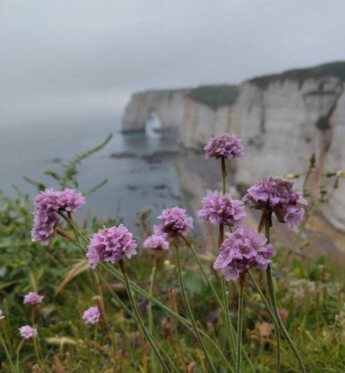Heute ist der kleine Ort in der Normandie aufgrund seiner Küste einer der meistbesuchten Orte in Frankreich. Und tatsächlich fanden auch schon die Impressionisten wie beispielsweise Monet diesen Ort wunderschön, weswegen es einige Gemälde von den Felsen gibt.