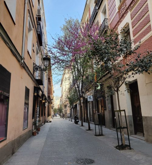 In Madrid gab es wirklich viele schöne Straßen und Gegenden zum Schlendern - wie zum Beispiel diese hier.