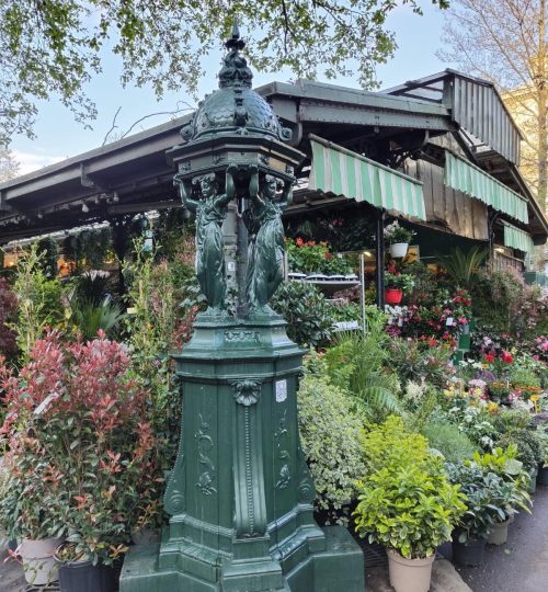 Auf diesem Bild sieht man gleich zwei Pariser Klassiker: Den Fontaine Wallace (von denen es etwa 100 in Paris gibt) und der Planzen- und Blumenmarkt in der Nähe der Notre Dame im Hintergrund.